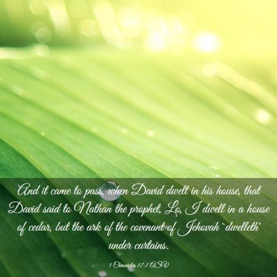 Picture 03 - 1 Chronicles 17:1 ASV - And it came to pass, when David dwelt in his - Bible Verse Picture