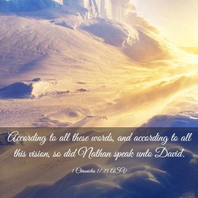 Picture 03 - 1 Chronicles 17:15 ASV - According to all these words, and according to - Bible Verse Picture