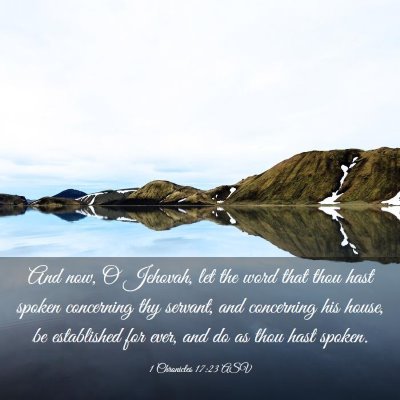 Picture 03 - 1 Chronicles 17:23 ASV - And now, O Jehovah, let the word that thou hast - Bible Verse Picture