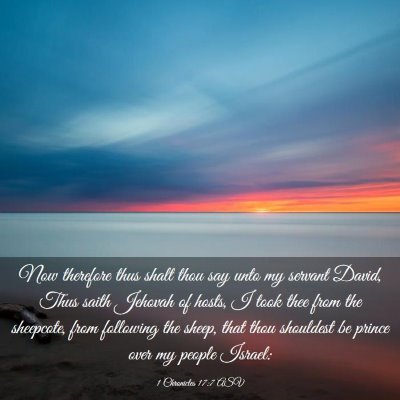 Picture 03 - 1 Chronicles 17:7 ASV - Now therefore thus shalt thou say unto my servant - Bible Verse Picture
