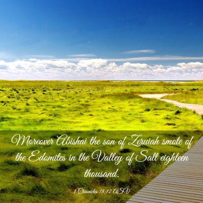 Picture 03 - 1 Chronicles 18:12 ASV - Moreover Abishai the son of Zeruiah smote of the - Bible Verse Picture