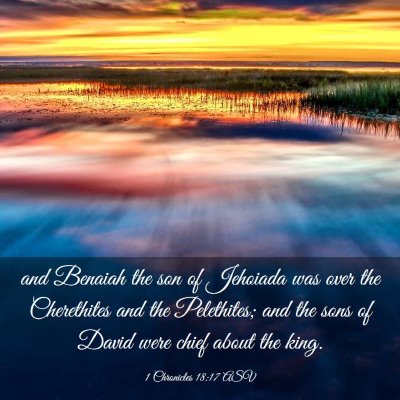 Picture 03 - 1 Chronicles 18:17 ASV - and Benaiah the son of Jehoiada was over the - Bible Verse Picture