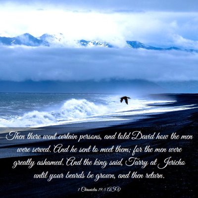 Picture 03 - 1 Chronicles 19:5 ASV - Then there went certain persons, and told David - Bible Verse Picture