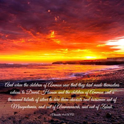 Picture 03 - 1 Chronicles 19:6 ASV - And when the children of Ammon saw that they had - Bible Verse Picture