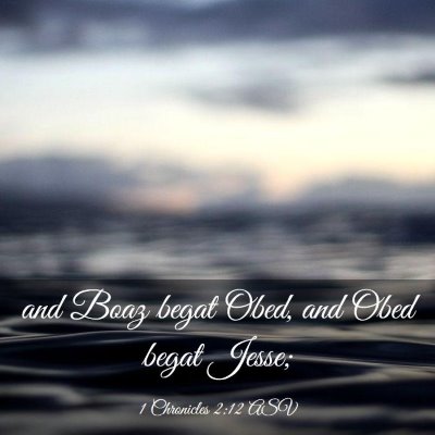 Picture 03 - 1 Chronicles 2:12 ASV - and Boaz begat Obed, and Obed begat - Bible Verse Picture