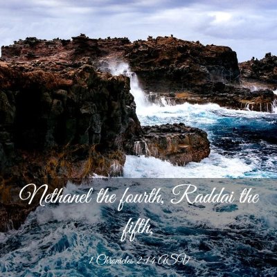 Picture 03 - 1 Chronicles 2:14 ASV - Nethanel the fourth, Raddai the - Bible Verse Picture
