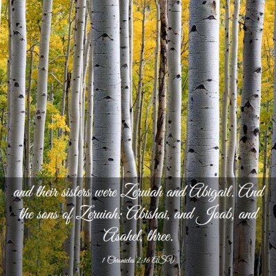 Picture 03 - 1 Chronicles 2:16 ASV - and their sisters were Zeruiah and Abigail. And - Bible Verse Picture