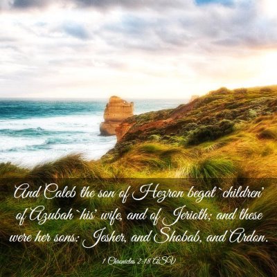 Picture 03 - 1 Chronicles 2:18 ASV - And Caleb the son of Hezron begat `children' of - Bible Verse Picture