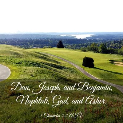 Picture 03 - 1 Chronicles 2:2 ASV - Dan, Joseph, and Benjamin, Naphtali, Gad, and - Bible Verse Picture