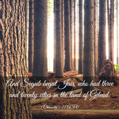 Picture 03 - 1 Chronicles 2:22 ASV - And Segub begat Jair, who had three and twenty - Bible Verse Picture