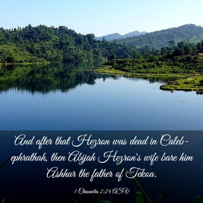 Picture 03 - 1 Chronicles 2:24 ASV - And after that Hezron was dead in - Bible Verse Picture