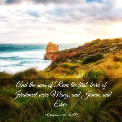 Picture 03 - 1 Chronicles 2:27 ASV - And the sons of Ram the first-born of Jerahmeel - Bible Verse Picture