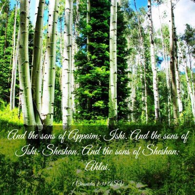 Picture 03 - 1 Chronicles 2:31 ASV - And the sons of Appaim: Ishi. And the sons of - Bible Verse Picture