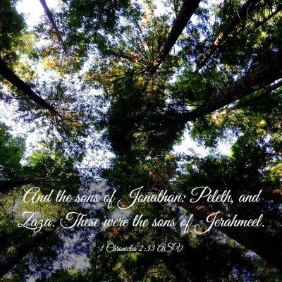 Picture 03 - 1 Chronicles 2:33 ASV - And the sons of Jonathan: Peleth, and Zaza. These - Bible Verse Picture