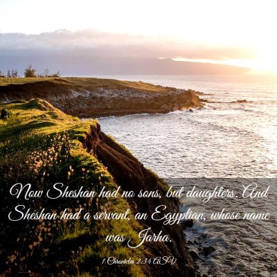 Picture 03 - 1 Chronicles 2:34 ASV - Now Sheshan had no sons, but daughters. And - Bible Verse Picture