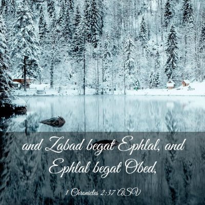 Picture 03 - 1 Chronicles 2:37 ASV - and Zabad begat Ephlal, and Ephlal begat - Bible Verse Picture