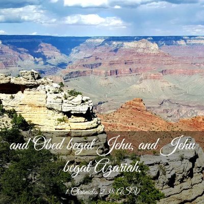 Picture 03 - 1 Chronicles 2:38 ASV - and Obed begat Jehu, and Jehu begat - Bible Verse Picture