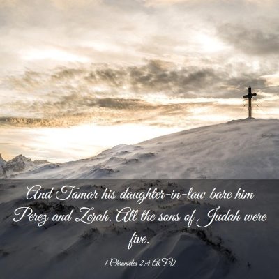 Picture 03 - 1 Chronicles 2:4 ASV - And Tamar his daughter-in-law bare him Perez and - Bible Verse Picture