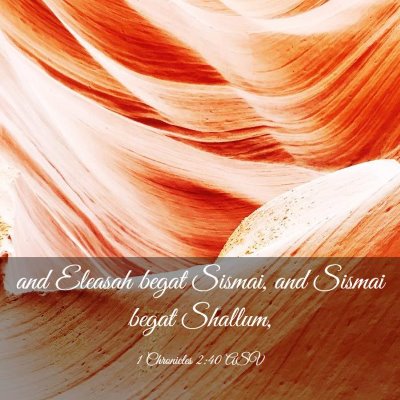 Picture 03 - 1 Chronicles 2:40 ASV - and Eleasah begat Sismai, and Sismai begat - Bible Verse Picture