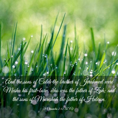 Picture 03 - 1 Chronicles 2:42 ASV - And the sons of Caleb the brother of Jerahmeel - Bible Verse Picture