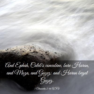 Picture 03 - 1 Chronicles 2:46 ASV - And Ephah, Caleb's concubine, bare Haran, and - Bible Verse Picture