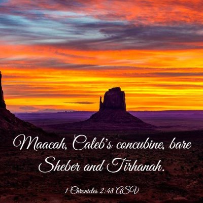 Picture 03 - 1 Chronicles 2:48 ASV - Maacah, Caleb's concubine, bare Sheber and - Bible Verse Picture