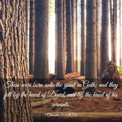 Picture 03 - 1 Chronicles 20:8 ASV - These were born unto the giant in Gath; and they - Bible Verse Picture
