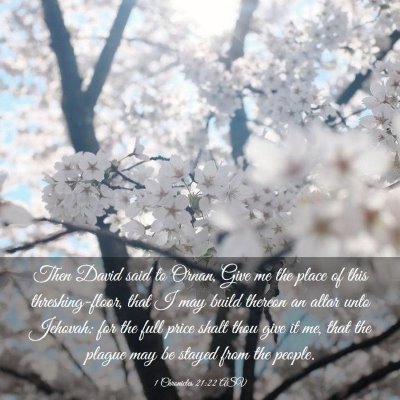 Picture 03 - 1 Chronicles 21:22 ASV - Then David said to Ornan, Give me the place of - Bible Verse Picture