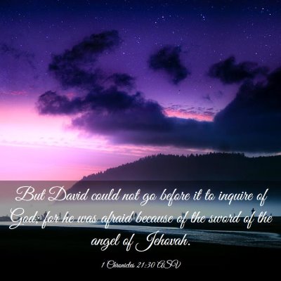Picture 03 - 1 Chronicles 21:30 ASV - But David could not go before it to inquire of - Bible Verse Picture