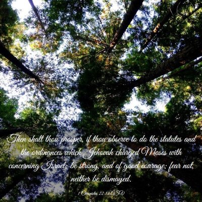 Picture 03 - 1 Chronicles 22:13 ASV - Then shalt thou prosper, if thou observe to do - Bible Verse Picture