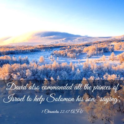 Picture 03 - 1 Chronicles 22:17 ASV - David also commanded all the princes of Israel to - Bible Verse Picture