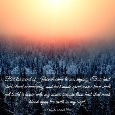Picture 03 - 1 Chronicles 22:8 ASV - But the word of Jehovah came to me, saying, Thou - Bible Verse Picture