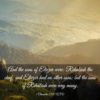 Picture 03 - 1 Chronicles 23:17 ASV - And the sons of Eliezer were: Rehabiah the chief; - Bible Verse Picture