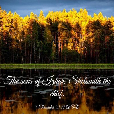Picture 03 - 1 Chronicles 23:18 ASV - The sons of Izhar: Shelomith the - Bible Verse Picture