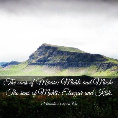 Picture 03 - 1 Chronicles 23:21 ASV - The sons of Merari: Mahli and Mushi. The sons of - Bible Verse Picture