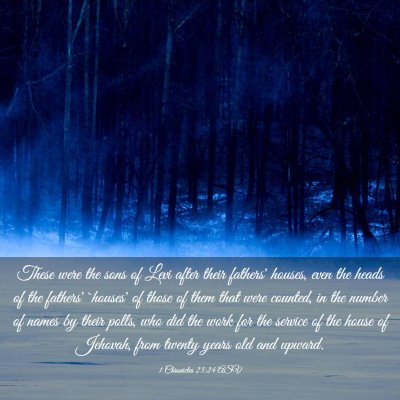 Picture 03 - 1 Chronicles 23:24 ASV - These were the sons of Levi after their fathers' - Bible Verse Picture
