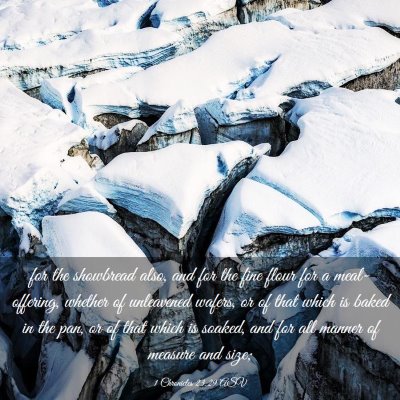 Picture 03 - 1 Chronicles 23:29 ASV - for the showbread also, and for the fine flour - Bible Verse Picture