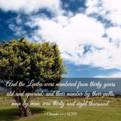 Picture 03 - 1 Chronicles 23:3 ASV - And the Levites were numbered from thirty years - Bible Verse Picture