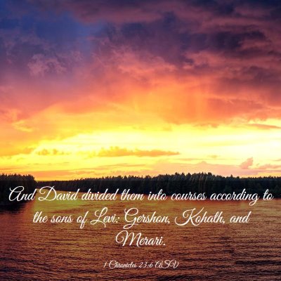 Picture 03 - 1 Chronicles 23:6 ASV - And David divided them into courses according to - Bible Verse Picture
