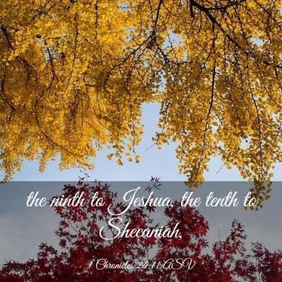 Picture 03 - 1 Chronicles 24:11 ASV - the ninth to Jeshua, the tenth to - Bible Verse Picture