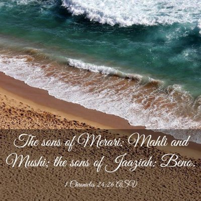 Picture 03 - 1 Chronicles 24:26 ASV - The sons of Merari: Mahli and Mushi; the sons of - Bible Verse Picture