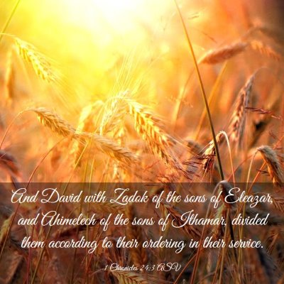 Picture 03 - 1 Chronicles 24:3 ASV - And David with Zadok of the sons of Eleazar, and - Bible Verse Picture