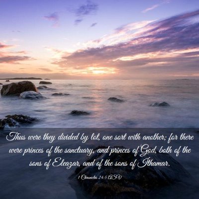 Picture 03 - 1 Chronicles 24:5 ASV - Thus were they divided by lot, one sort with - Bible Verse Picture