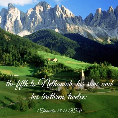 Picture 03 - 1 Chronicles 25:12 ASV - the fifth to Nethaniah, his sons and his - Bible Verse Picture