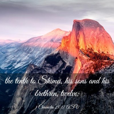 Picture 03 - 1 Chronicles 25:17 ASV - the tenth to Shimei, his sons and his brethren, - Bible Verse Picture
