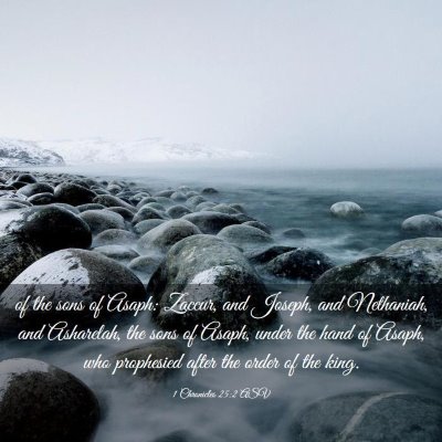 Picture 03 - 1 Chronicles 25:2 ASV - of the sons of Asaph: Zaccur, and Joseph, and - Bible Verse Picture