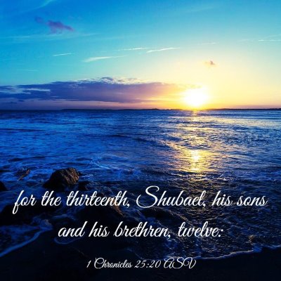 Picture 03 - 1 Chronicles 25:20 ASV - for the thirteenth, Shubael, his sons and his - Bible Verse Picture