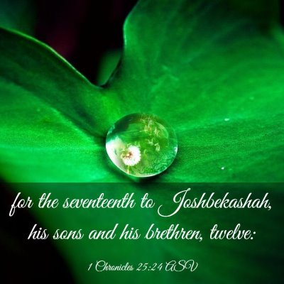 Picture 03 - 1 Chronicles 25:24 ASV - for the seventeenth to Joshbekashah, his sons and - Bible Verse Picture