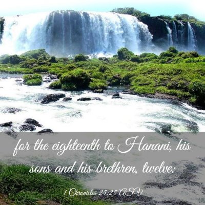 Picture 03 - 1 Chronicles 25:25 ASV - for the eighteenth to Hanani, his sons and his - Bible Verse Picture