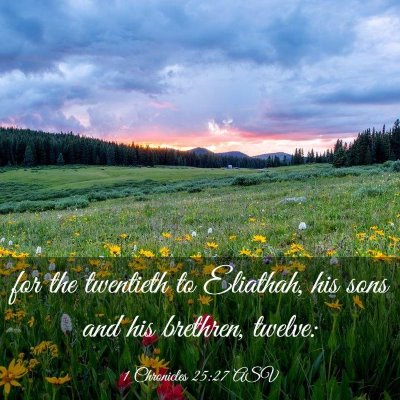 Picture 03 - 1 Chronicles 25:27 ASV - for the twentieth to Eliathah, his sons and his - Bible Verse Picture